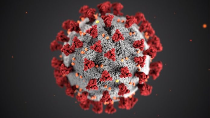 CoronaVirus Update Newa