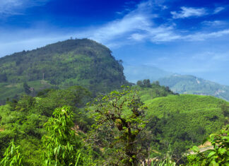 বান্দরবন ডিম পাহাড় । চান্দের গাড়িতে ডিম পাহাড়ের যাত্রা । Bandarban Dim Pahar