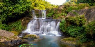 সীতাকুণ্ড ভ্রমণের সম্পূর্ণ নির্দেশিকা চন্দ্রনাথ পাহাড়, গুলিয়াখালী সমুদ্র সৈকত, খোয়াইচোরা জলপ্রপাত, মোহামায়া লেক অন্যান্য দর্শনীয় স্থান এবং সমস্ত খরচ। Sitakundu Tour