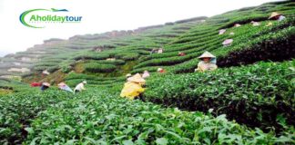 Tour All Details About Sylhet Jaflong, Bisnakandi, Hakaluki Haor, Ratargul, Tanguar Haor & Other visiting Places In Sylhet