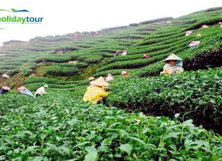 Tour All Details About Sylhet Jaflong, Bisnakandi, Hakaluki Haor, Ratargul, Tanguar Haor & Other visiting Places In Sylhet