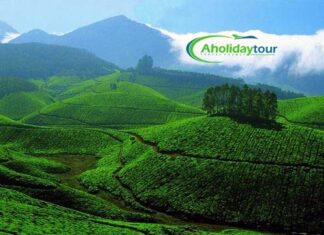 Everything About Shreemangal Tour – Aholidaytours