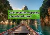 Asian Countries Reopening International Travel asian countries reopening international travel