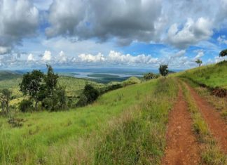 South Africa Travel To USA Never Suffer From Again south africa travel to usa