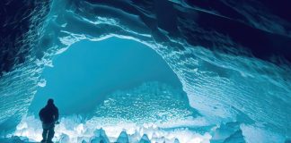 Antarctica Travel Guide The Ultimate Secret antarctica travel guide