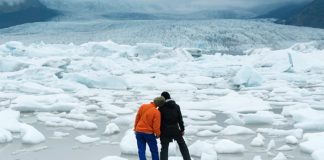 Antarctica Travel Cost The Ultimate Guide travel to antarctica from south africa