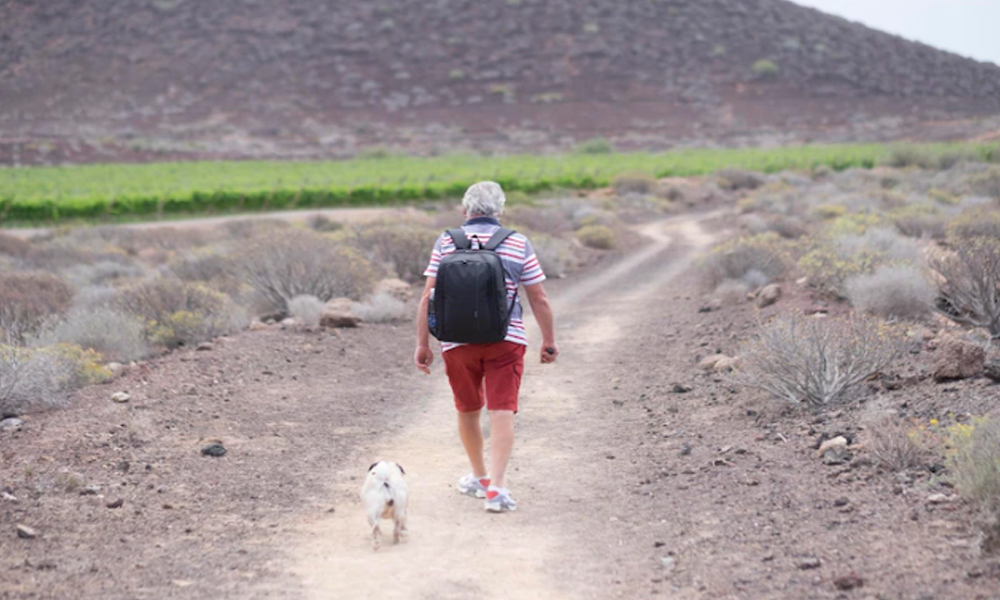 California’s Dog-Friendly Beaches