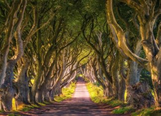Best Places To Travel In Ireland The Philosophy best places to travel in ireland