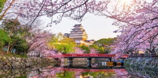 Best Places To travel In Japan Trust Our Team best places to travel in japan