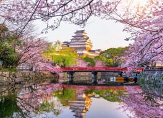 Best Places To travel In Japan Trust Our Team best places to travel in japan