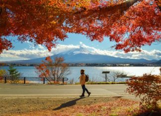 Best Places To Travel In Spring The Complete Process best places to travel in spring