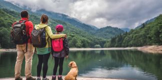 Best Places To Travel With Dogs – Aholidaytours best places to travel with dogs