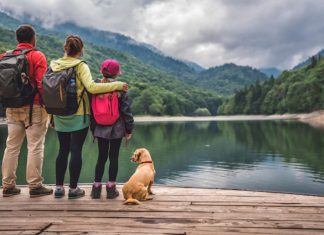 Best Places To Travel With Dogs – Aholidaytours best places to travel with dogs