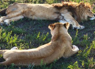 South Africa Travel Guaranteed No Stress south africa travel