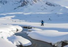 Winning Tactics For Travel To Antarctica From Australia travel to antarctica from Australia